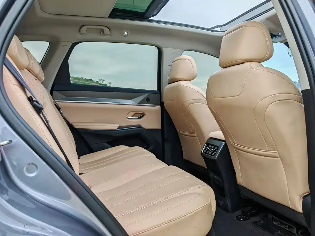 BYD Song Pro New Energy 2025 — фото 21