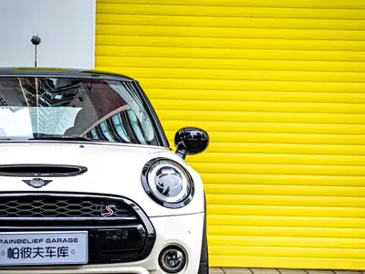 MINI MINI 2019