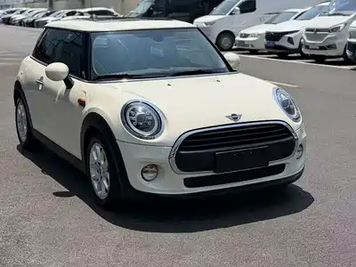 MINI MINI 2019