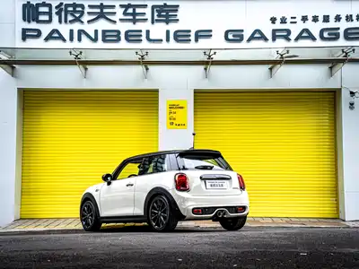 MINI MINI 2019