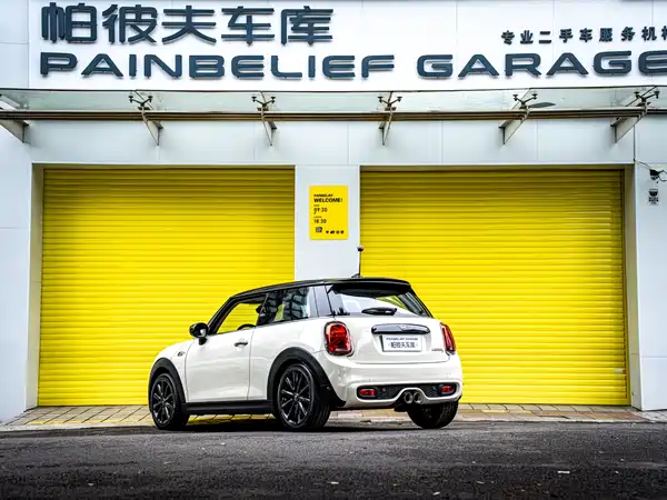 MINI MINI 2019