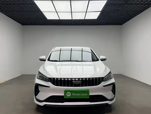 Geely Binrui 2023