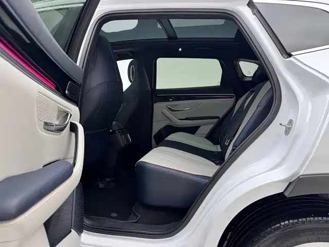 BYD PLUS New Energy 2022 — фото 18