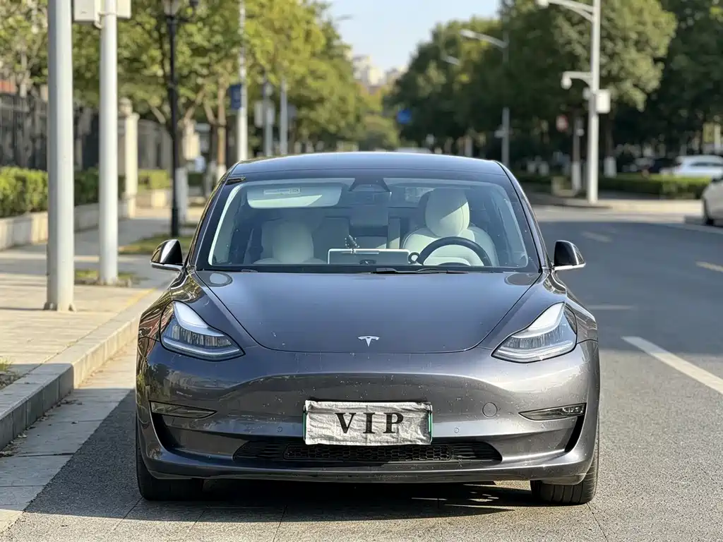Tesla Model 3 2019 — фото 2