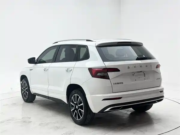 Skoda Karoq 2024