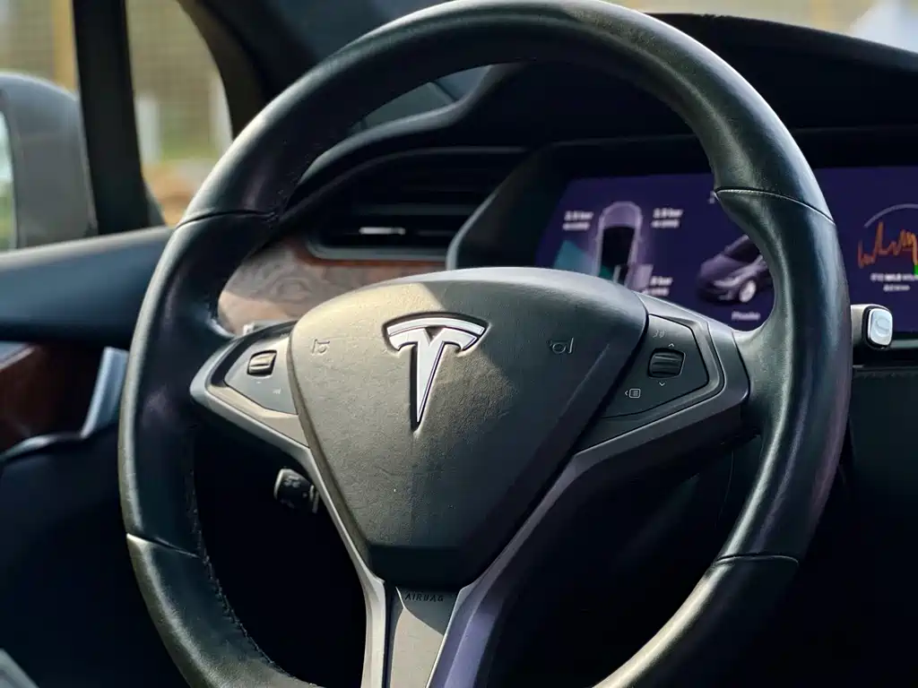 Tesla Model X 2020 — фото 13