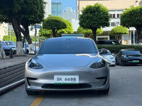 Tesla Model 3 2021
