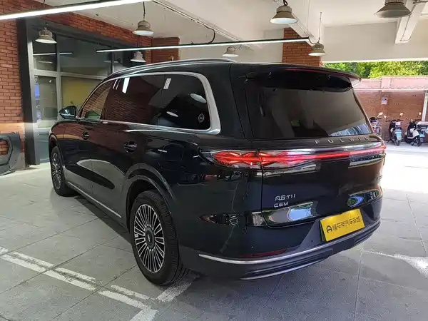 Chery Fengyun T11 2025