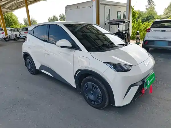 BYD Seagull 2024