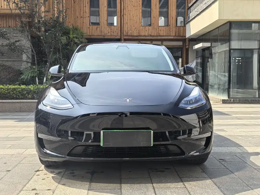 Tesla Model Y 2021 — фото 2