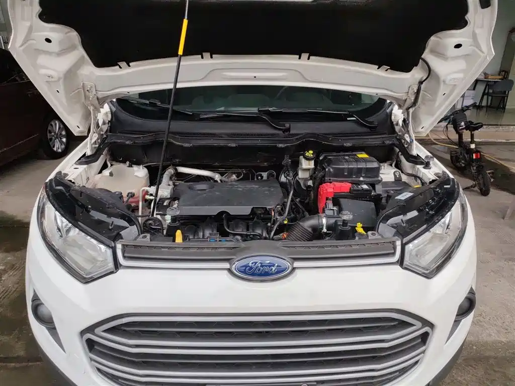 Ford Ecosport 2017 — фото 20