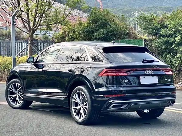 Audi Q8 2021