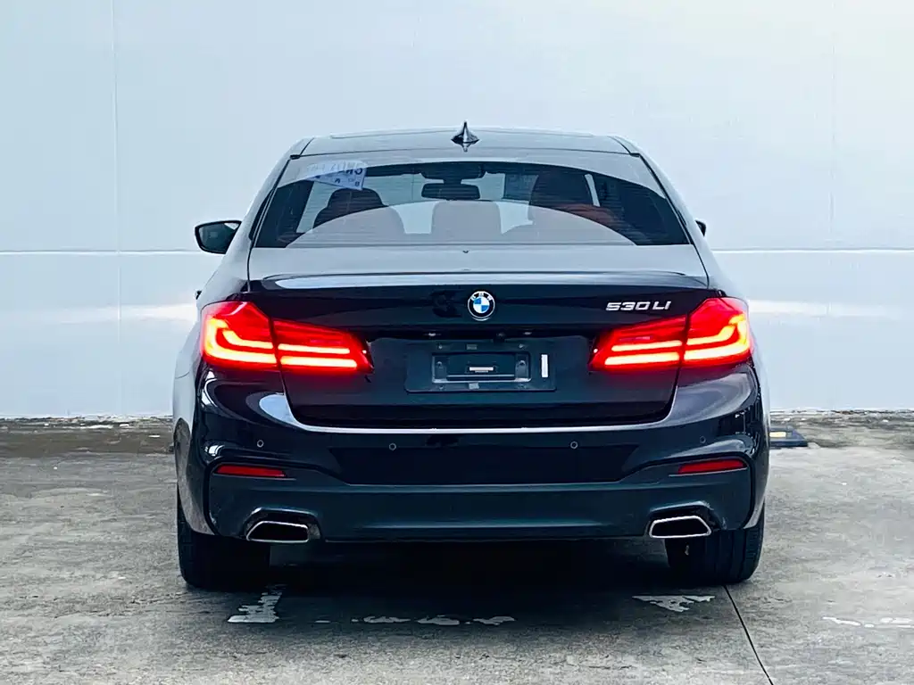 BMW 5 Series 2017 — фото 8