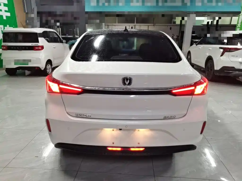 Changan Yidong New Energy 2022