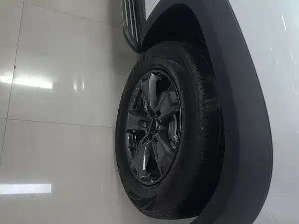 Haval Dargo 2021