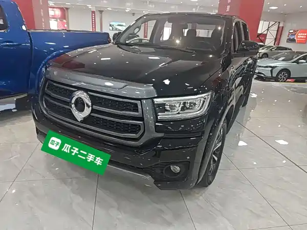 Great Wall Poer 2024