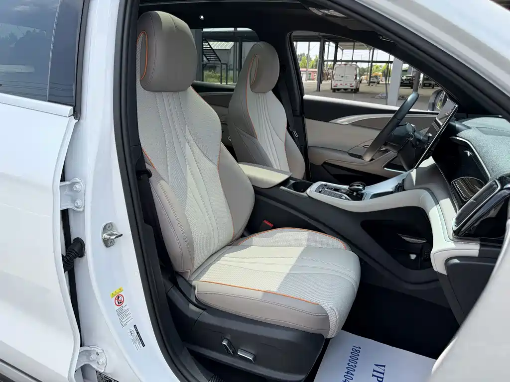 BYD Song Pro New Energy 2025 — фото 13