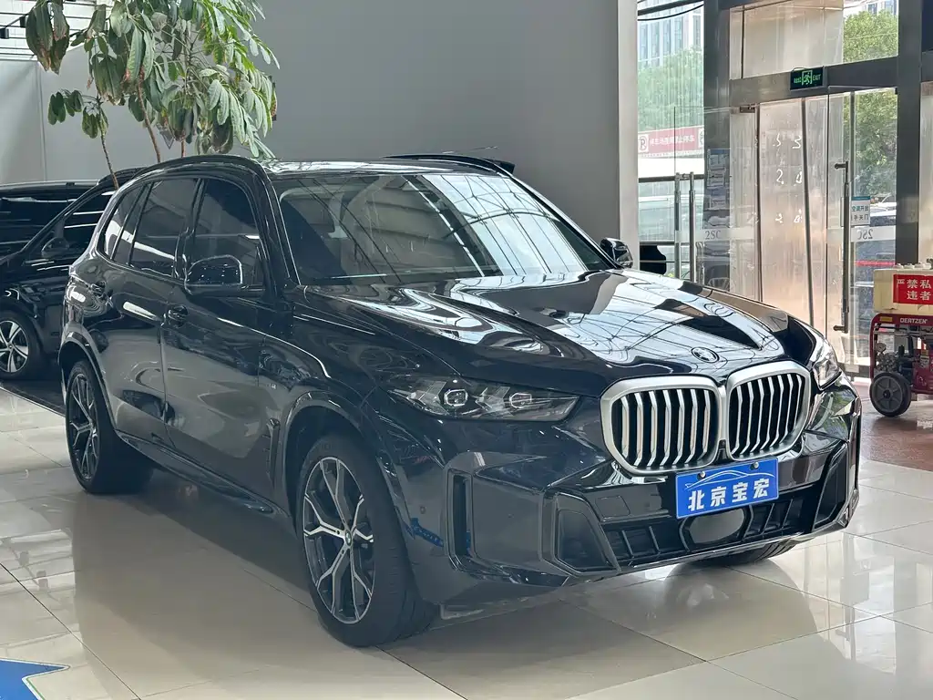 BMW X5 2024