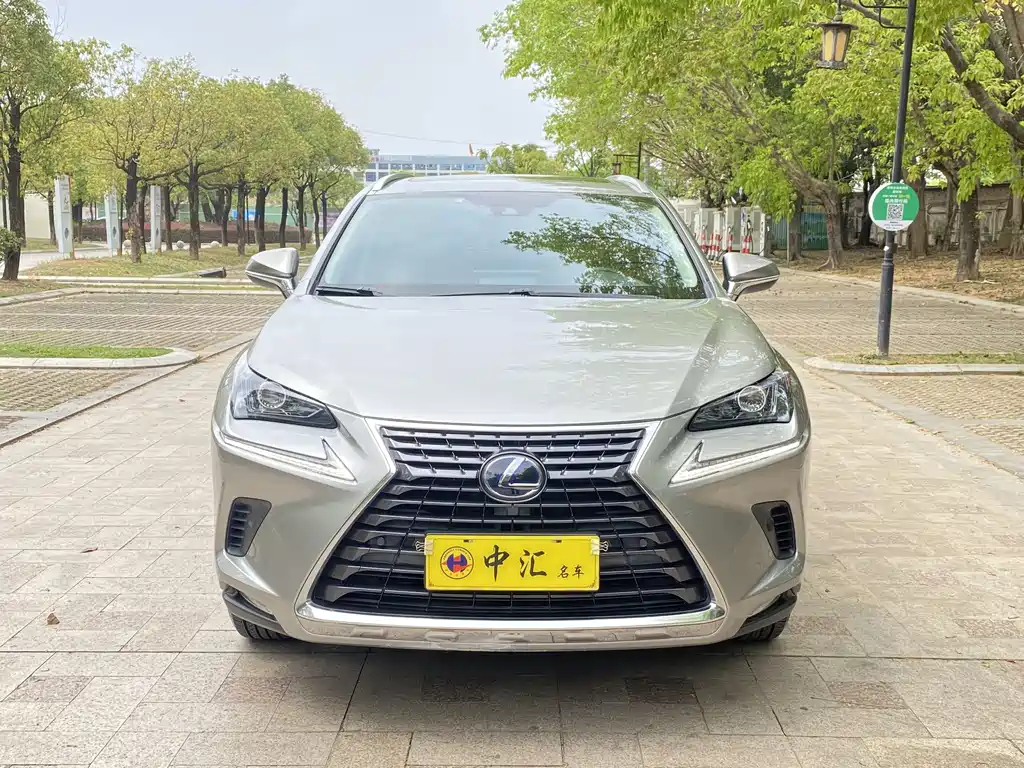 Lexus NX 2020 — фото 2