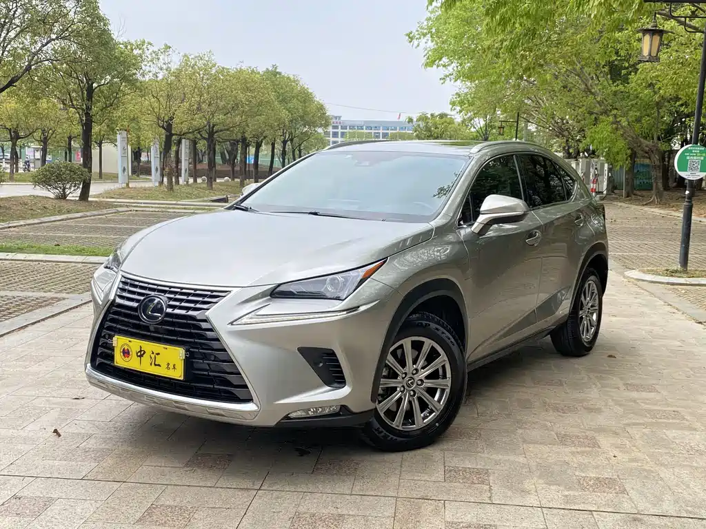 Lexus NX 2020 — фото 1