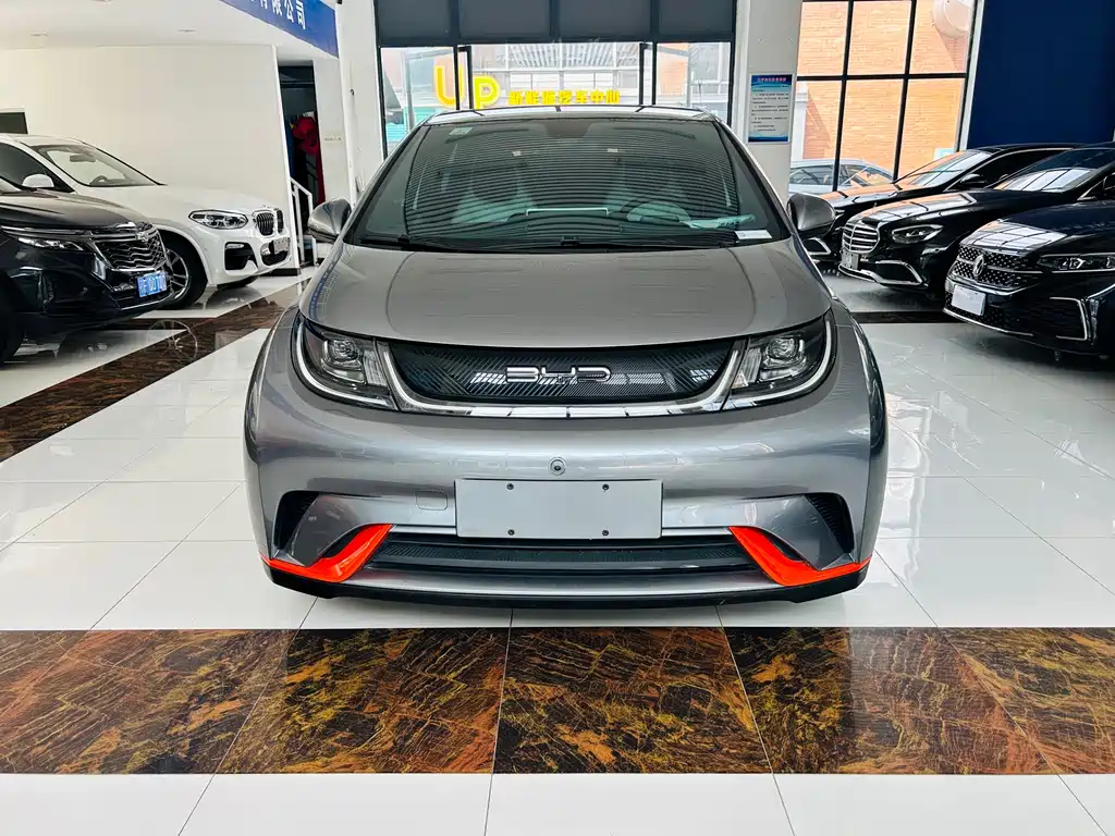 BYD Dolphin 2022