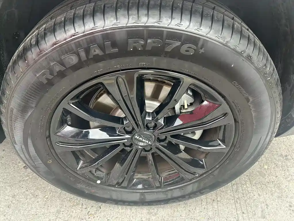 Haval Menglong New Energy 2025