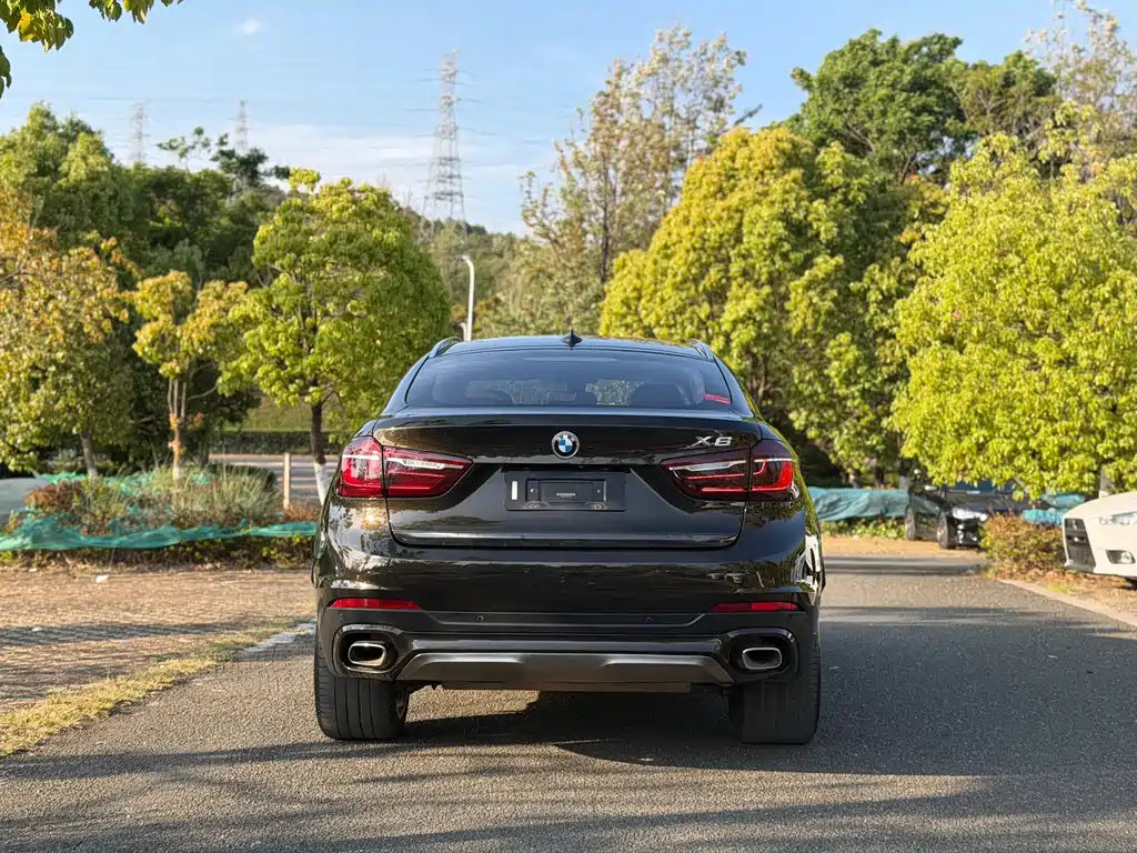 BMW X6 2018 — фото 3