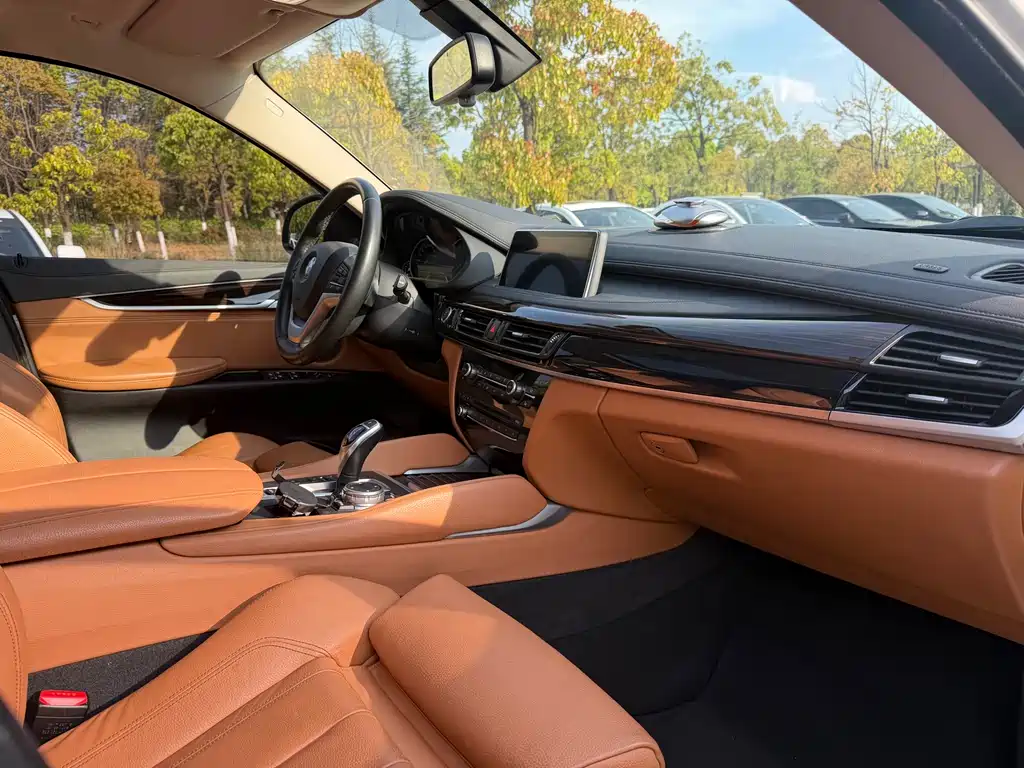 BMW X6 2017 — фото 15