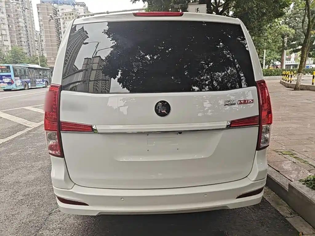Fengxing Lingzhi PLUS 2024