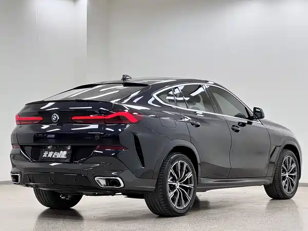 BMW X6 2021
