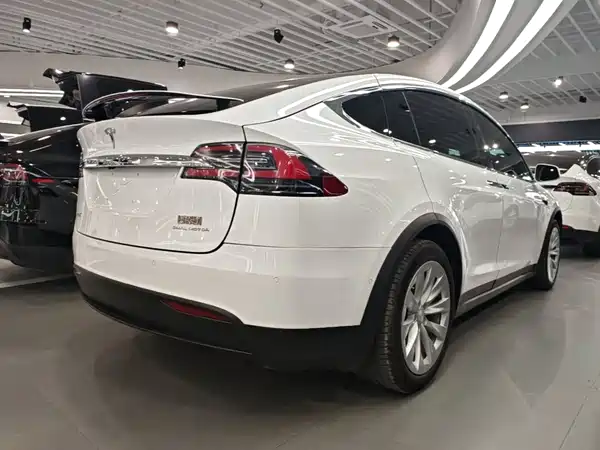 Tesla Model X 2019