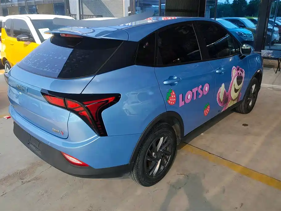 Neta V 2021