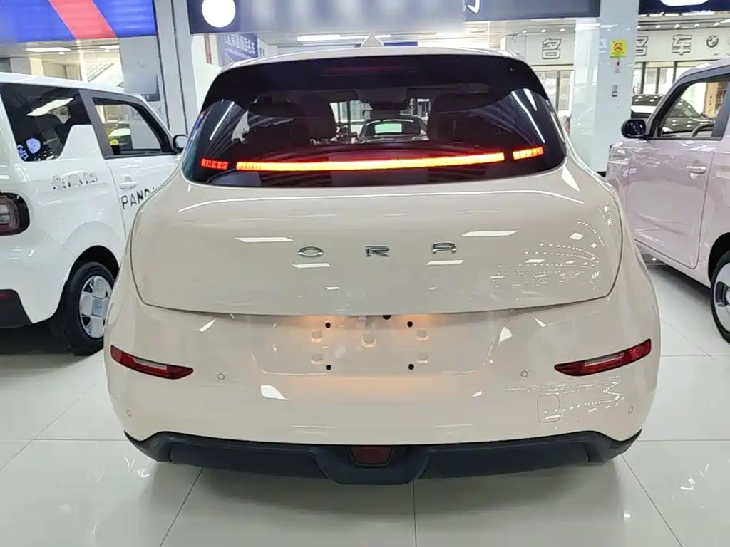 Ora Good Cat 2024