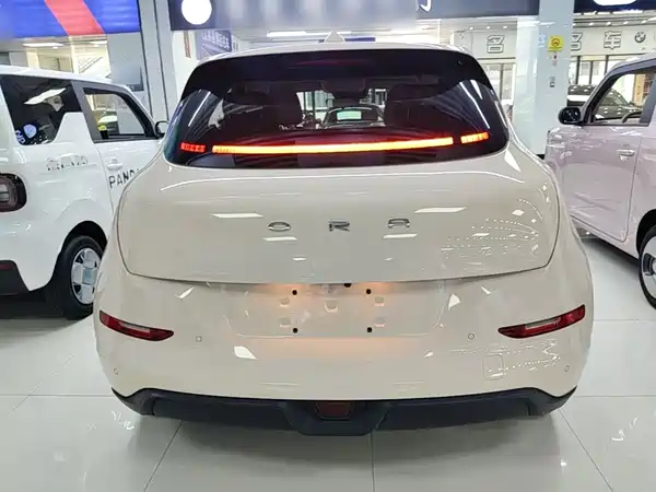 Ora Good Cat 2024