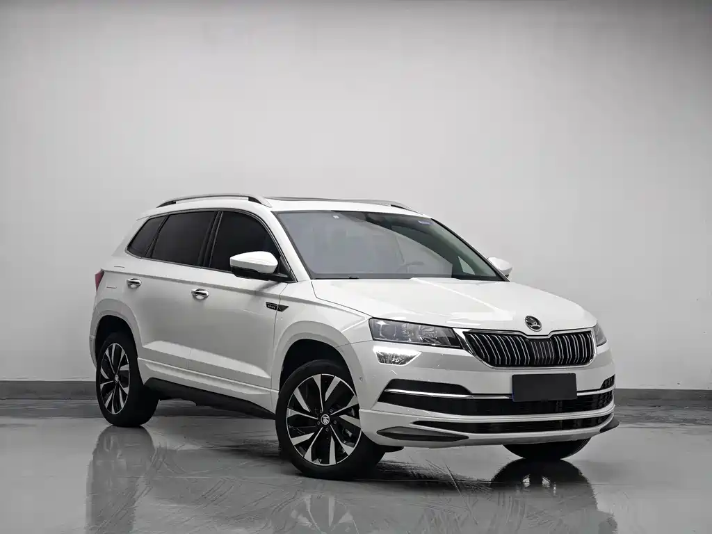 Skoda Karoq 2023 — фото 3