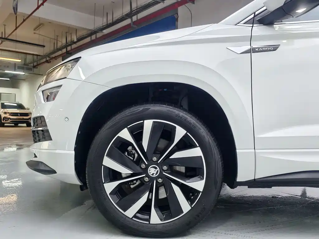 Skoda Karoq 2023 — фото 7
