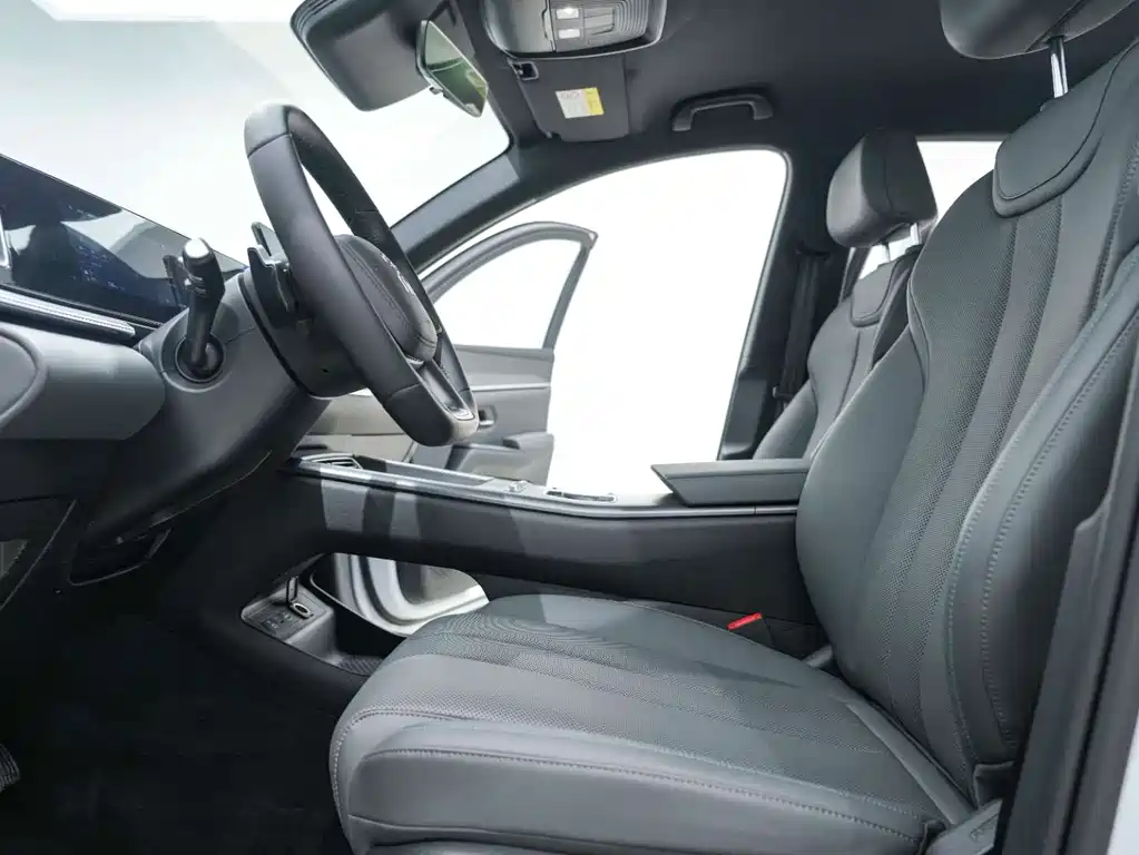BYD Pro New Energy 2025 — фото 23