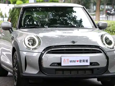 MINI MINI 2024