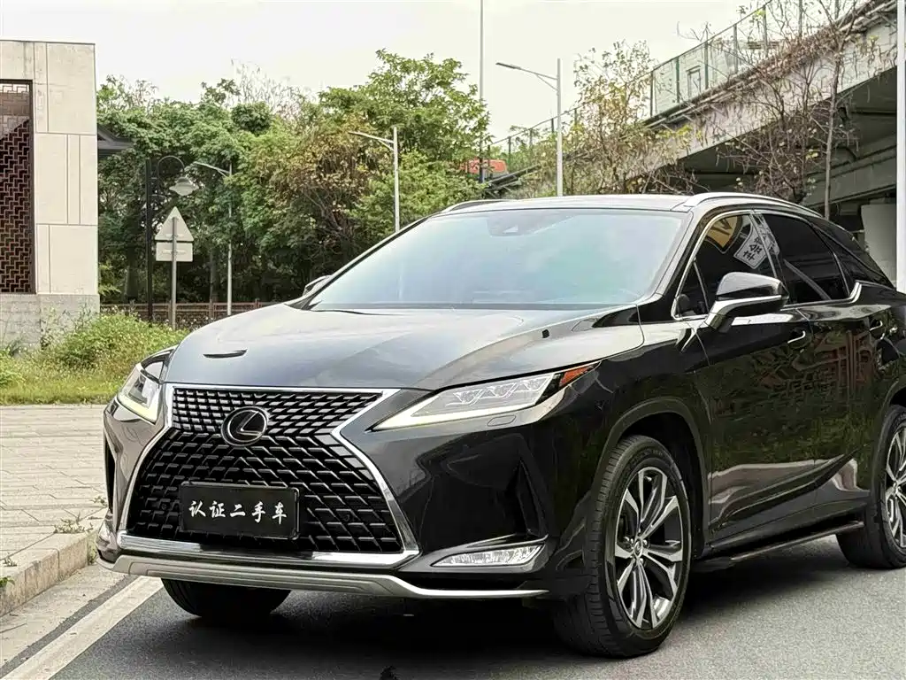 Lexus RX 2021 — фото 13