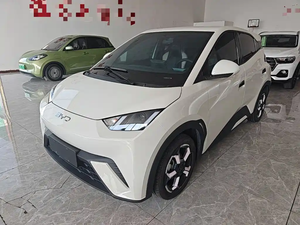 BYD Seagull 2024