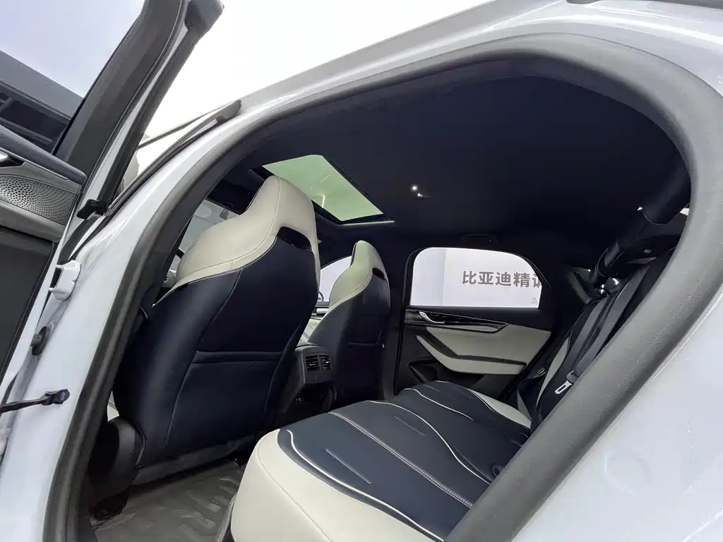 BYD Qin PLUS 2021 — фото 10