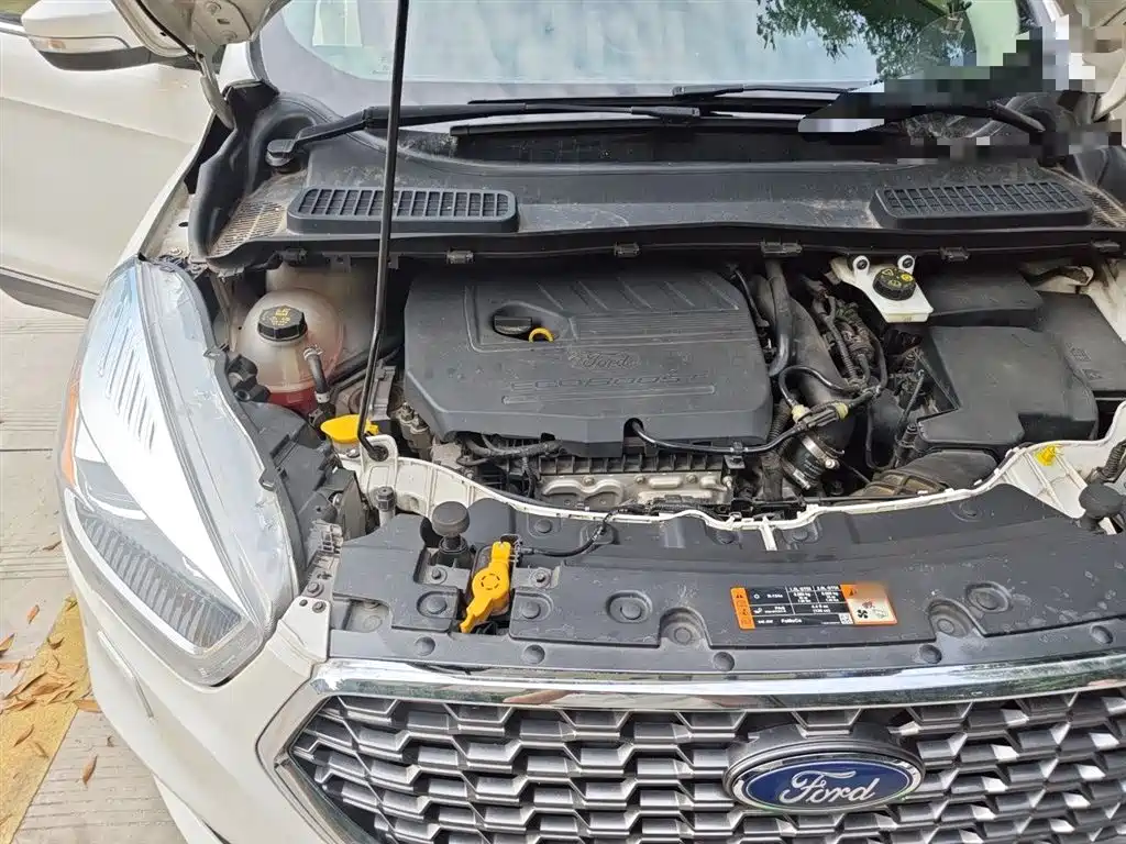 Ford Kuga 2019 — фото 22