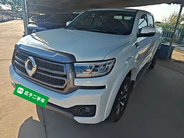 Great Wall Poer 2025