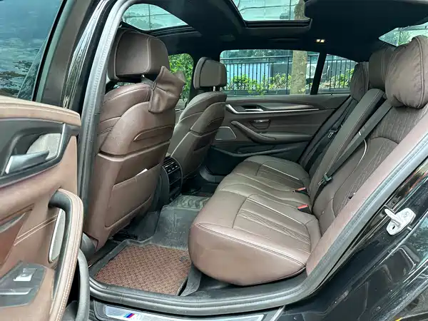 BMW 5 Series New Energy 2021