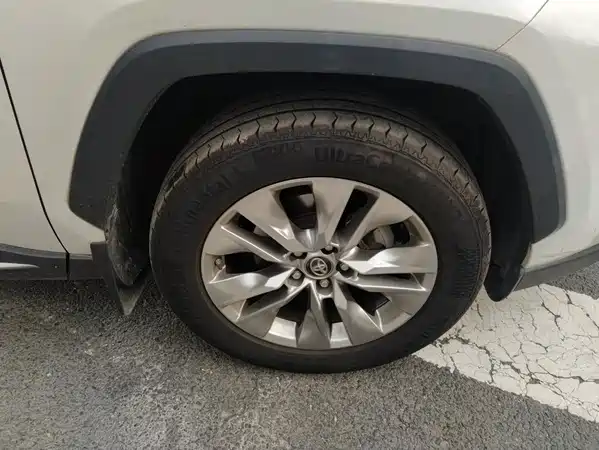 Toyota Wildlander 2021