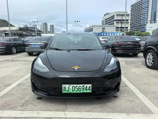 Tesla Model 3 2021