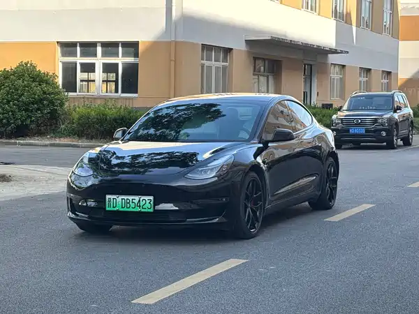Tesla Model 3 2021