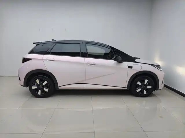 BYD Dolphin 2025