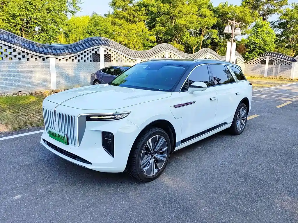 Hongqi E-HS9 2021