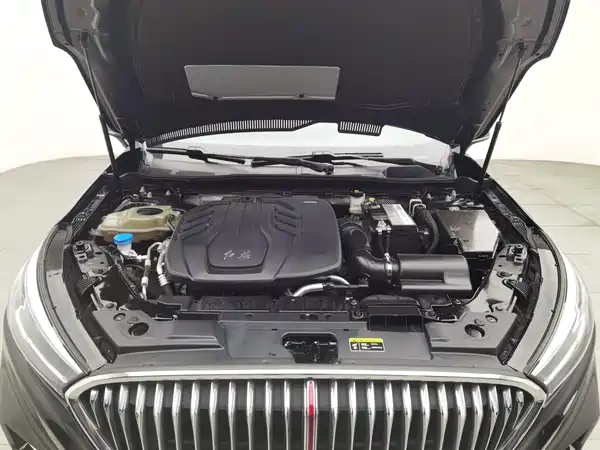Hongqi H5 2023